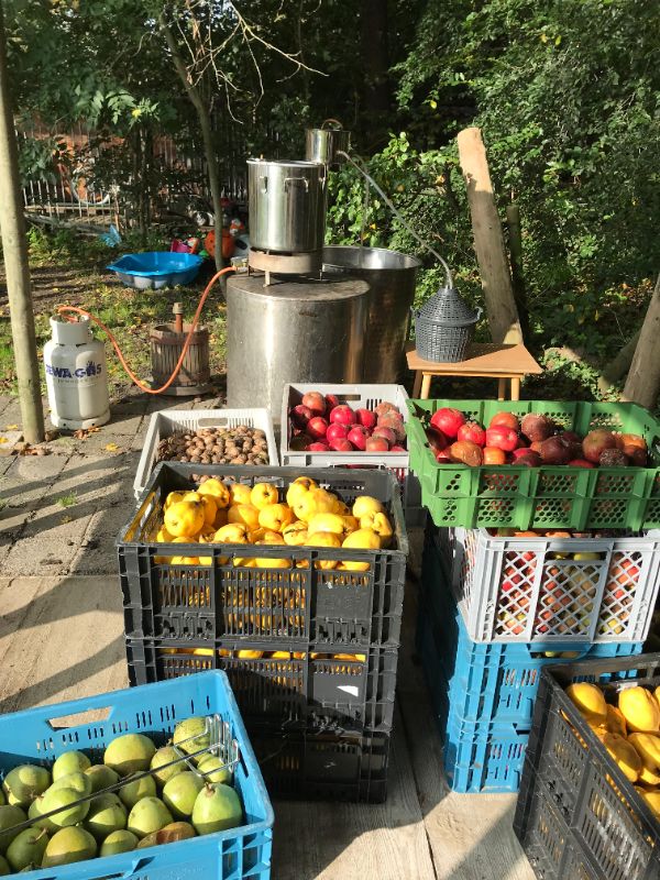 Thuisstook-installatie in de tuin met kratten fruit